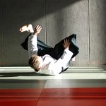 Aikido Wattens 2014