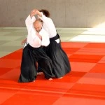 Aikido Wattens 2014