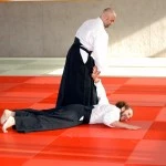 Aikido Wattens 2014